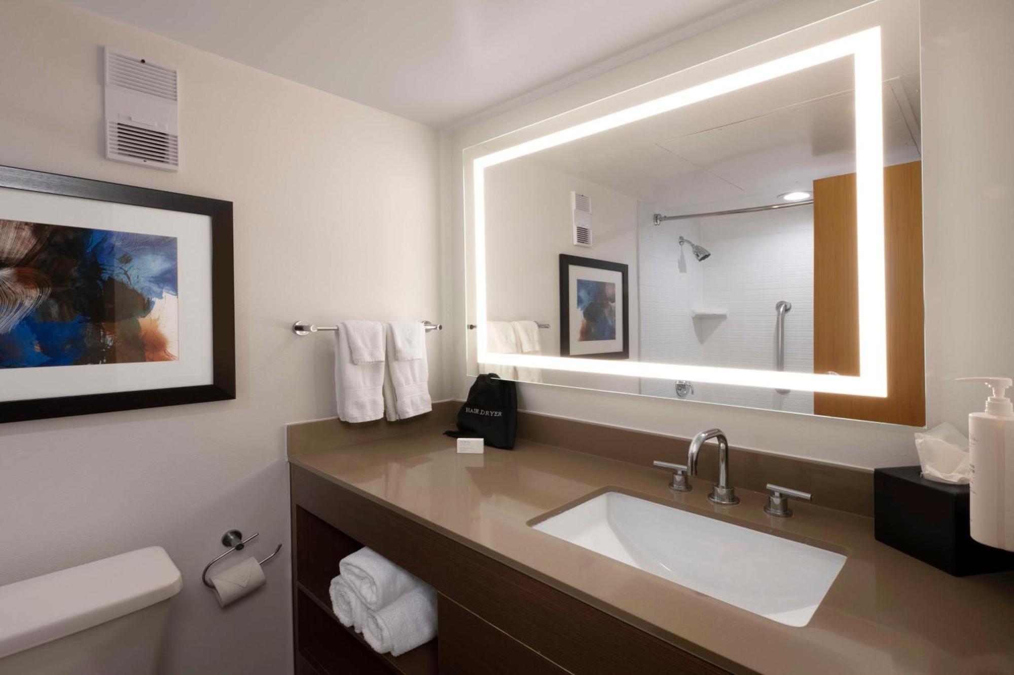 Embassy Suites Dallas - Dfw International Airport South Irving Extérieur photo