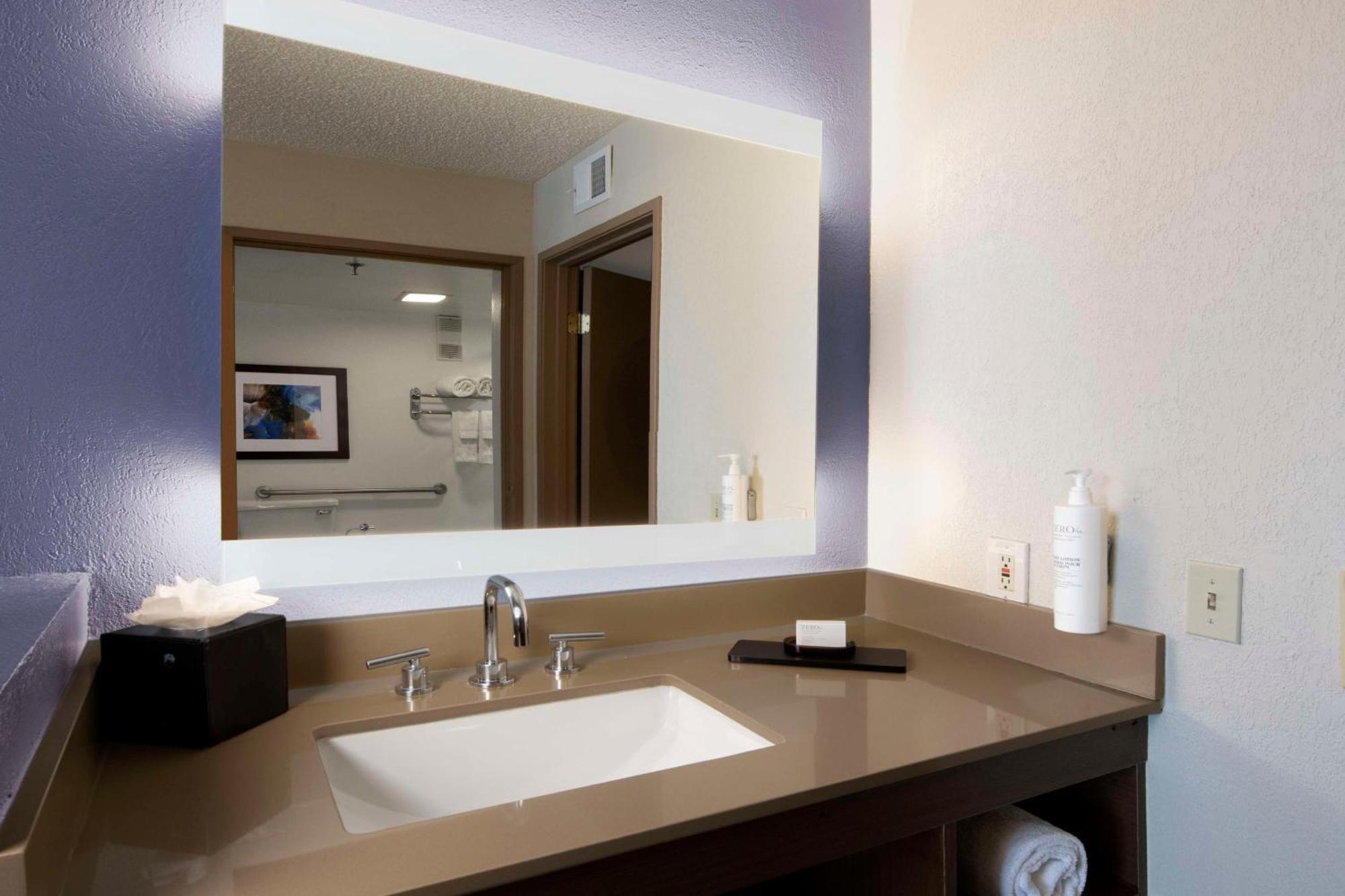Embassy Suites Dallas - Dfw International Airport South Irving Extérieur photo